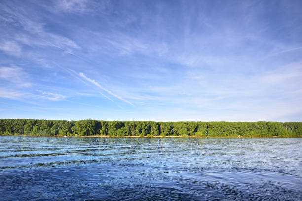 istock View of Rhine river flowing through a forest 911553054