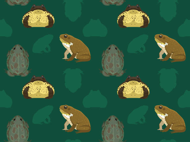 ilustrações, clipart, desenhos animados e ícones de cana-de-sapo sem costura wallpaper - cane toad toad wildlife nature