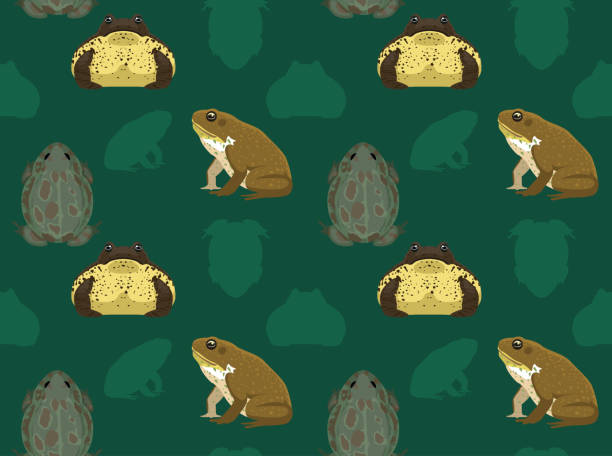 cane жаба бесшовные обои - cane toad toad wildlife nature stock illustrations