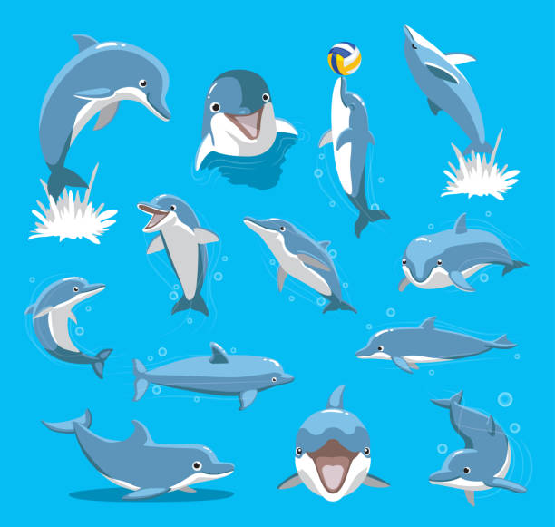 bottlenose dolphin ball cute cartoon vector ilustracja - dolphin jumping sea animal stock illustrations