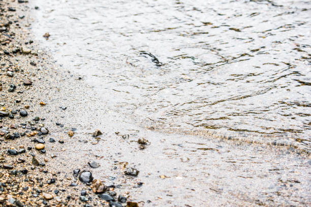 istock Sand and pebbles. Wave on a river, the sea. 911560490