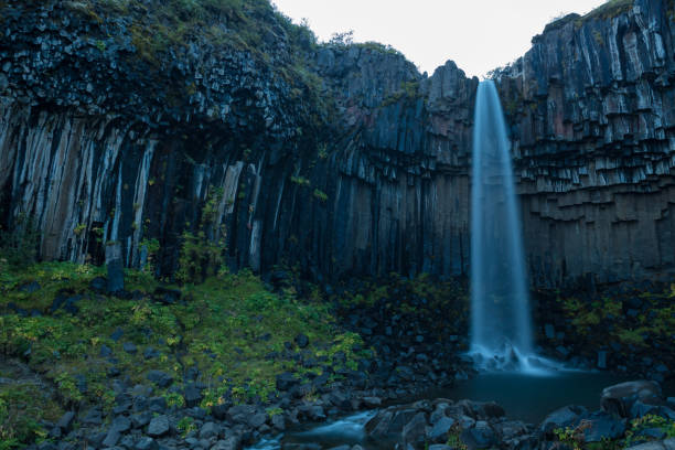 istock Svartifoss Waterfall in Iceland 911564724
