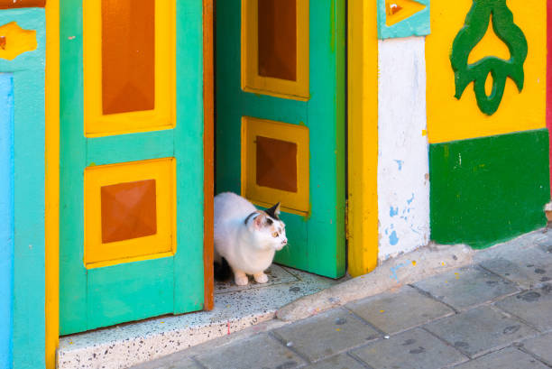 Cat on the doorstep at Guatape