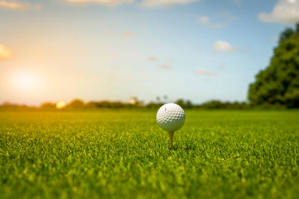 golf ball  - golf golf ball tee green stock-fotos und bilder