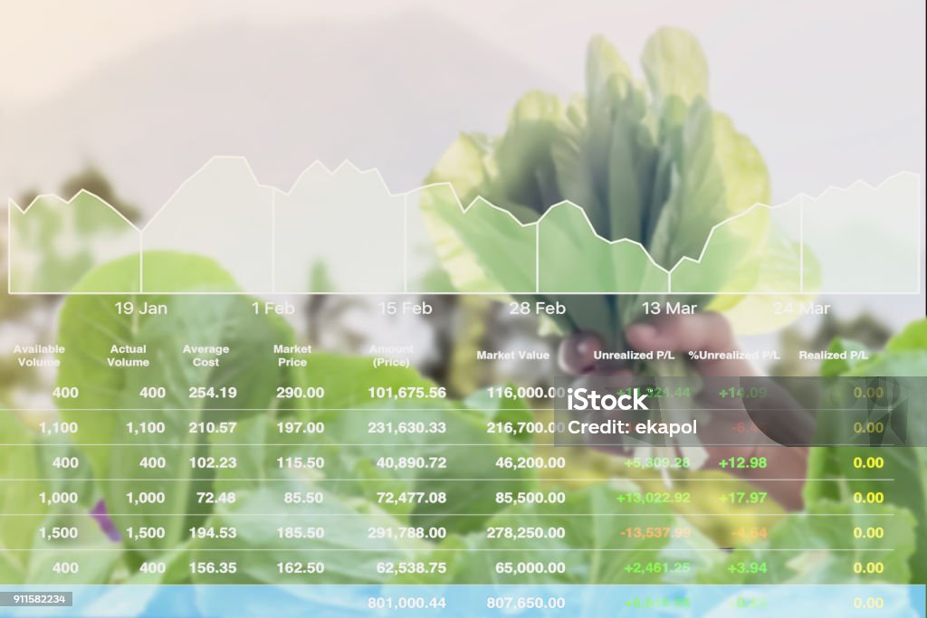 Economic investment successful on Agricultural product analysis report to stock market with data and graph background. Food Stock Photo