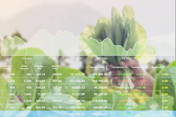 Economic investment successful on Agricultural product analysis report to stock market with data and graph background. stock photo