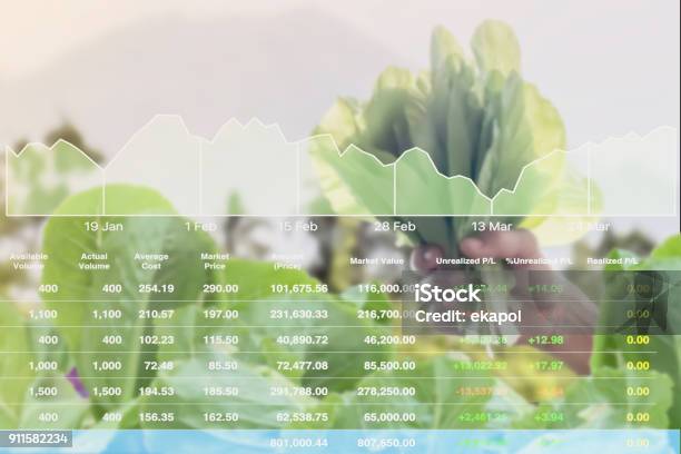 Economic Investment Successful On Agricultural Product Analysis Report To Stock Market With Data And Graph Background Stock Photo - Download Image Now