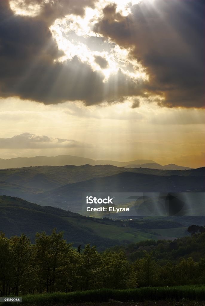 Lumière du soleil - Photo de Agriculture libre de droits