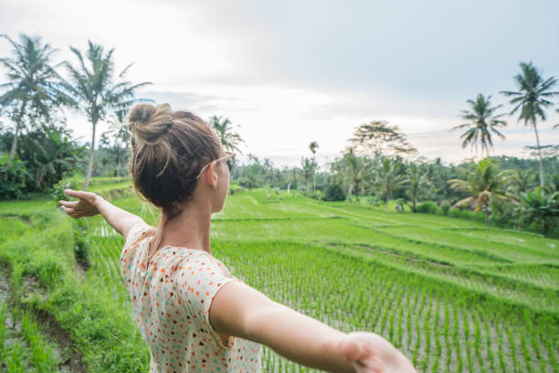istock Girl embracing nature, rice field 911594124