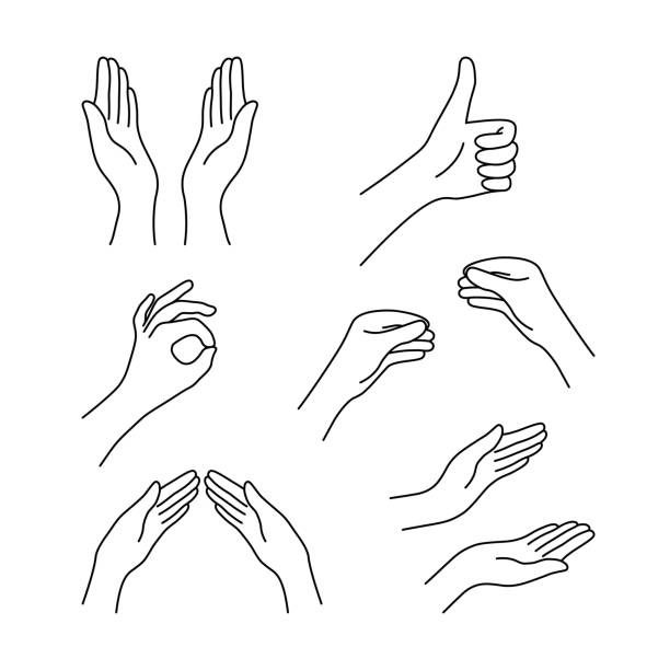 thin line drawing black hands collection thin line drawing black hands collection. concept of religion symbol, gesturing set, applause, harmony, love, peace or help. linear cartoon style trend graphic design isolated on white background superheld stock illustrations