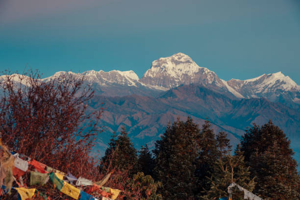 istock Himalayan mountain Dhaulagiri peak during sunrise 911605026