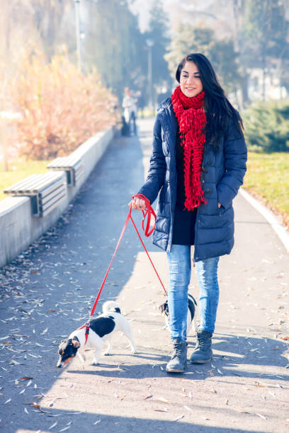 istock Woman out walking two dogs in a park 911608596