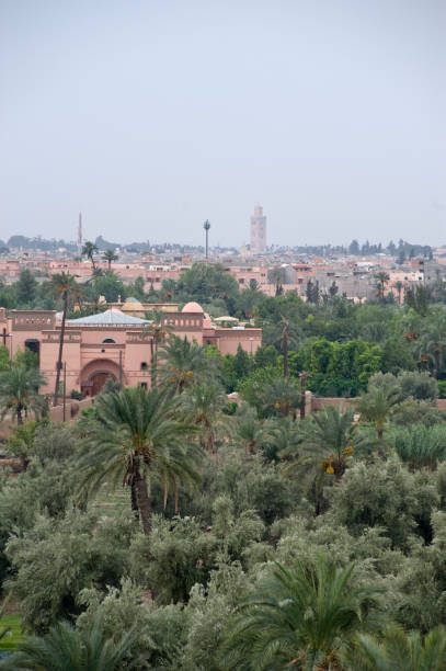 istock panorama of marrakech 911612022