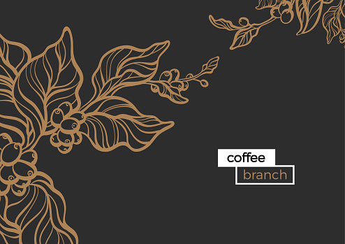 Template with gold branch of coffee tree, leaves and natural coffee beans Realistic organic product Silhouette, organic shape Botanical illustration. Vector design isolated on black background eps.10