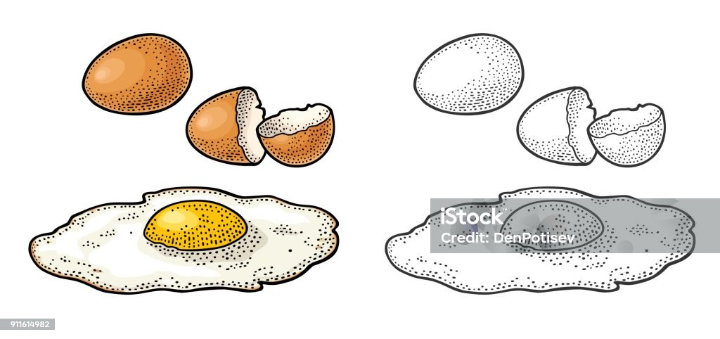 Fried egg and broken shell. Vintage color engraving illustration Fried brown egg and broken shell. Vintage color and black vector engraving illustration for poster and label. Isolated on white background. Animal Egg stock vector