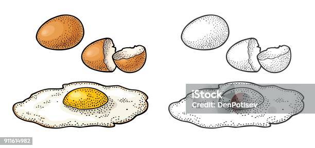 Fried Egg And Broken Shell Vintage Color Engraving Illustration Stock Illustration - Download Image Now