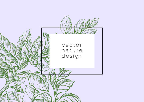 有機性のベクトル テンプレート - healthy eating botany drawing pattern点のイラスト素材／クリップアート素材／マンガ素材／アイコン素材