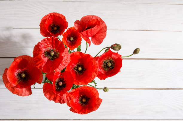 Bouquet of red poppies in glass vase on old white wooden table.top view stock photo