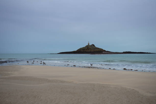 istock Beach of Erquy wild geese 911619044