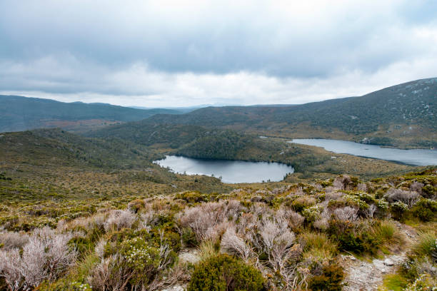 istock Cradle Mountain, Tasmania, Australia 911619478