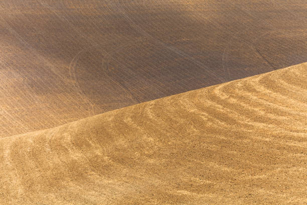 istock Wide field and hills in Tuscany 911621978
