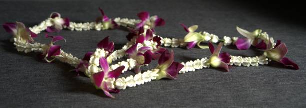 istock Chaplet of tropical flowers 911629084