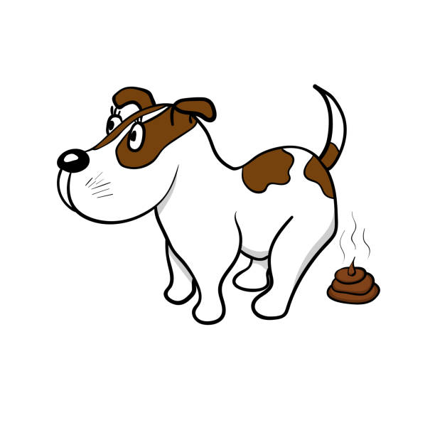 The Dog Defecates Stock Illustration - Download Image Now - Animal, Bog,  Brown - iStock