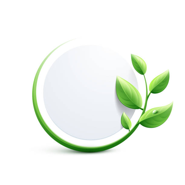 Green eco-friendly design Green eco-friendly design green leaf white background stock illustrations