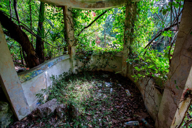 istock abandoned house in the forest 911648510