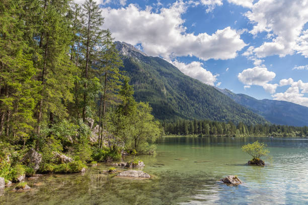 istock Lake Hintersee near Ramsau in Bavarian alps with trees 911649164