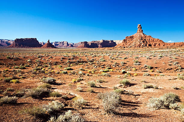 istock Valley of the Gods 91165029