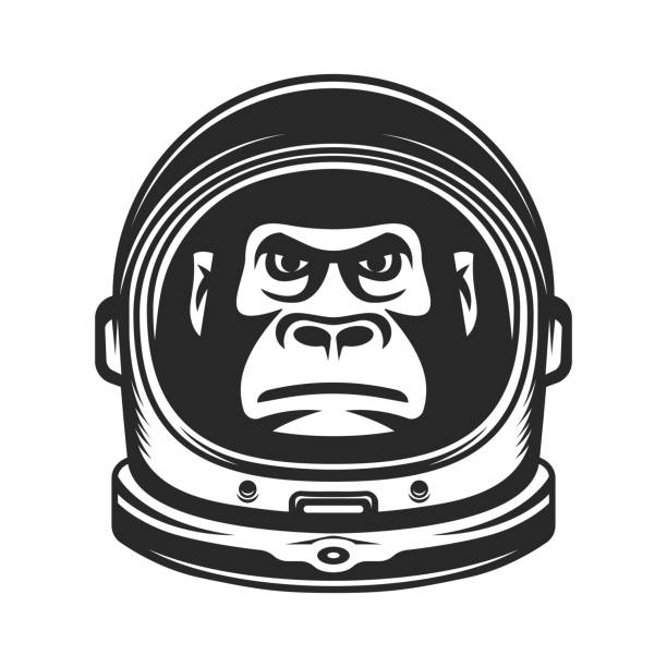 illustrazioni stock, clip art, cartoni animati e icone di tendenza di astronauta scimmia. gorilla in tuta spaziale - astronaut space helmet space helmet