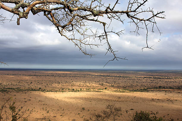 nkumbe lookout im kruger nationalpark, südafrika - 1474 stock-fotos und bilder