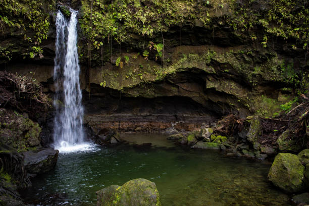 istock Emerald Pool, Morne Trois Pitons National Park, Dominica 911664244