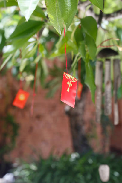 istock Chinese New Year ornament 911664566