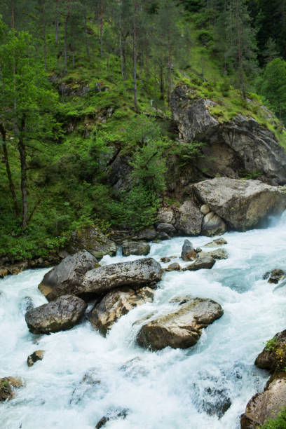 istock Mountain river in the forests of Abkhazia 911667832