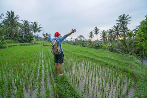 istock Man celebrates Christmas in tropical climate, Indonesia 911668382