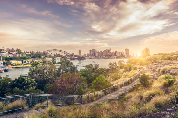 панорамный вид на гавань сиднея, австралия - sydney australia australia sydney harbor skyline стоковые фото и изображения