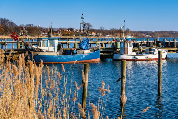 istock View to the port in Rerik, Germany 911671130