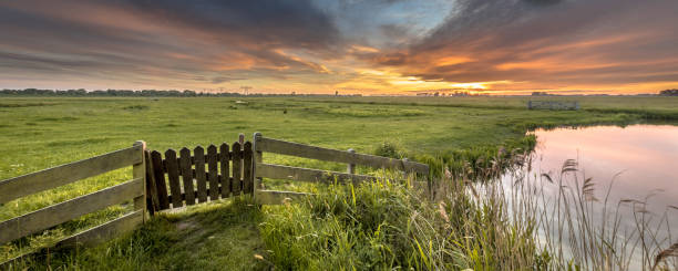 istock Panorama  gate view of agricultural landscape 911671344
