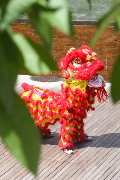 istock Chinese traditional lion dancing 911672192