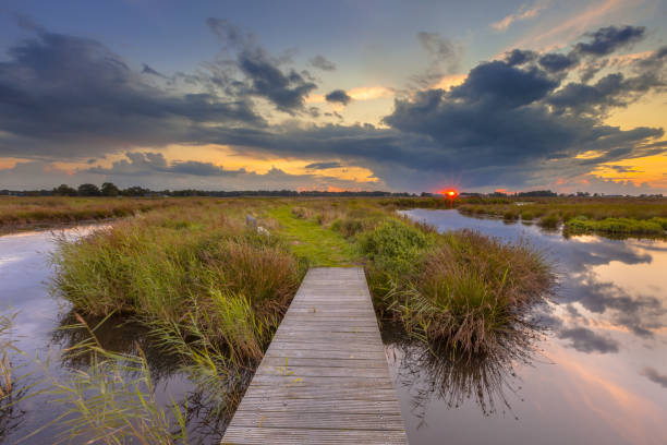 istock Wetland Footbridge with setting sun 911672400