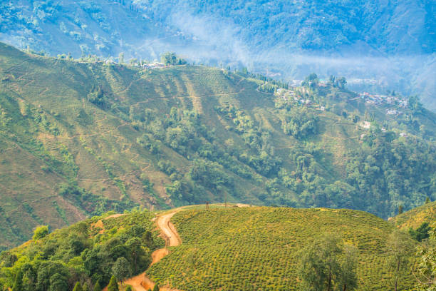 istock Hgih view of path way 911679592