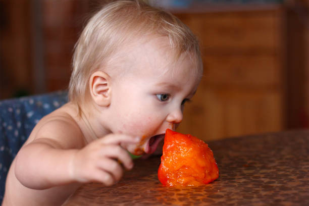 istock baby trying to bites fresh ripe persimmon 911680858