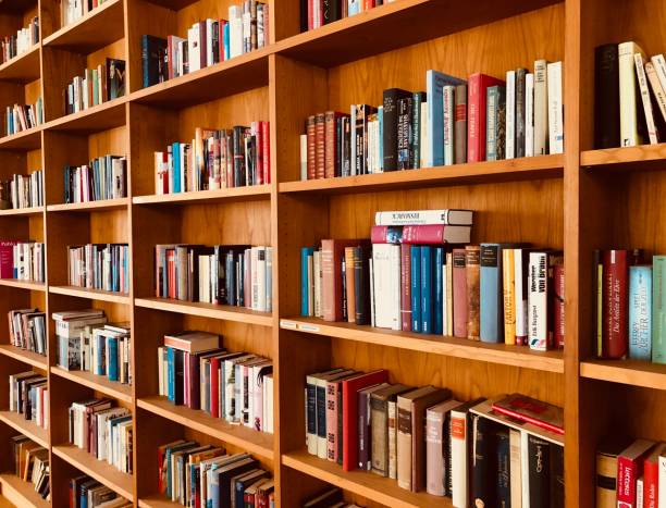 istock Brown wooden shelfs fully packed with books in a library 911681316