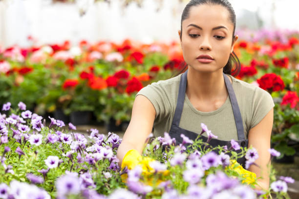 istock Woman in greenhouse 911684534