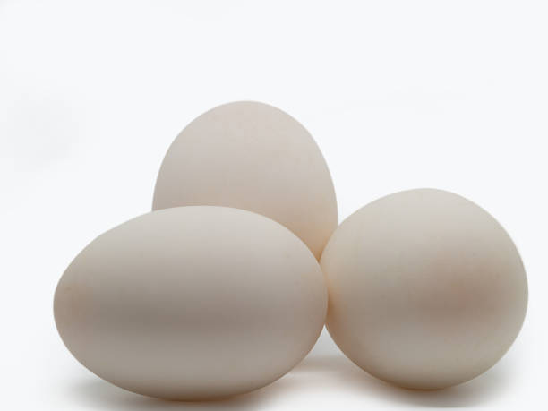 istock Closeup Duck eggs , healthy food. 911690358