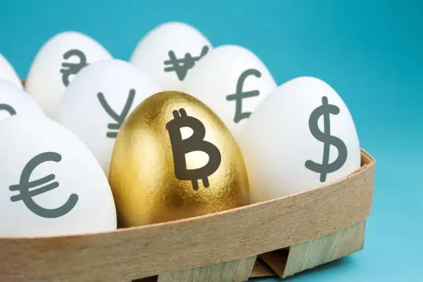 Eggs with currency signs in wooden packing on a blue background. Golden egg with a bitcoin sign. Investment concept