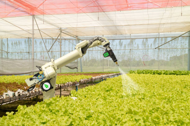 smart robotic in agriculture futuristic concept, robot farmers (automation) must be programmed to work to spray chemical,fertilizer or increase efficiency, growing a seed, harvesting, reduce time inteligente de robótica en agricultura concepto futurista, robot agricultores (automatización) deben programarse para trabajar para aerosol químico, fertilizante o aumentar la eficiencia, crecimiento de una semilla, la cosecha, reducir el tiempo de
