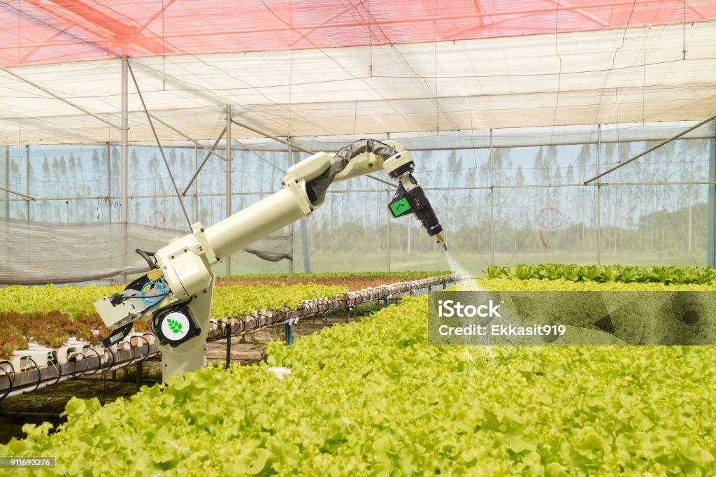 puce robotique concept futuriste de l’agriculture, robot agriculteurs (automatisation) doivent être programmés pour travailler à chimique de pulvérisation, engrais ou augmenter l’efficacité, de plus en plus une semence, récolte, réduire le temps - Photo de Agriculture libre de droits